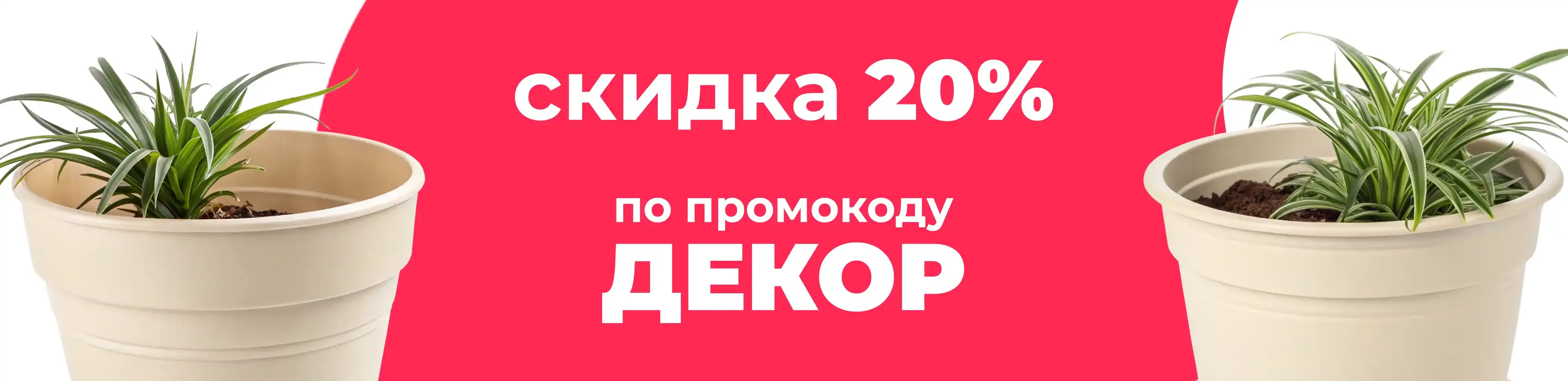 Баннер для рубрики: Горшки для хлорофитумов