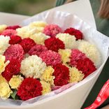 Маленькое фото 3: Букет из 50 гвоздик микс в белой пленке с красной лентой