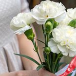 Маленькое фото 2: Букет из 3 белых кустовых гвоздик с лентой сорта Диантус, Голландия
