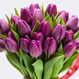 Маленькое фото 2: Букет из 33 фиолетовых сортовых тюльпанов