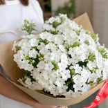 Маленькое фото 1: Букет из 19 белых флоксов в крафте