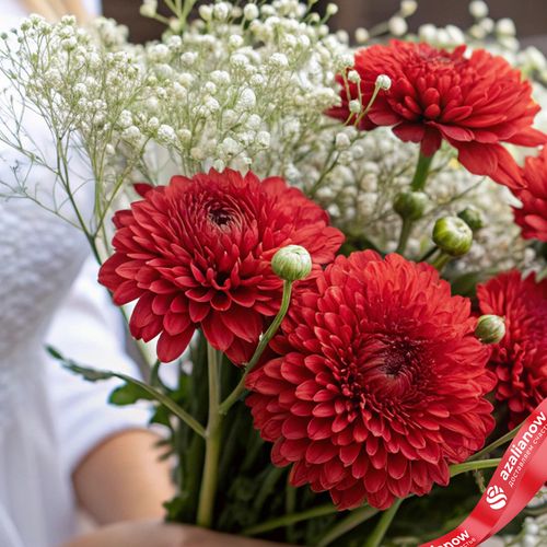Фото 2: Композиция из 5 кустовых алых хризантем с гипсофилой «Романтика»
