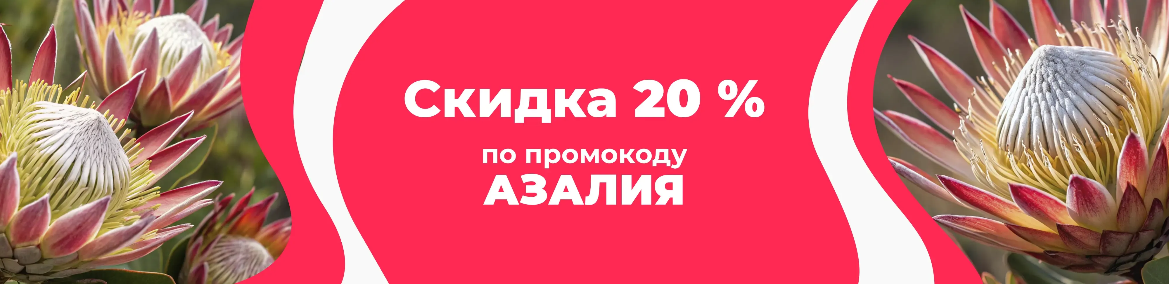 Баннер для рубрики: Протеи