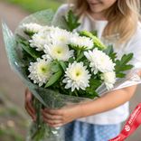 Маленькое фото 1: Букет из 9 белых кустовых хризантем с зеленью в пленке, Голландия