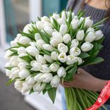 Маленькое фото 1: Букет из 50 белых тюльпанов, Россия