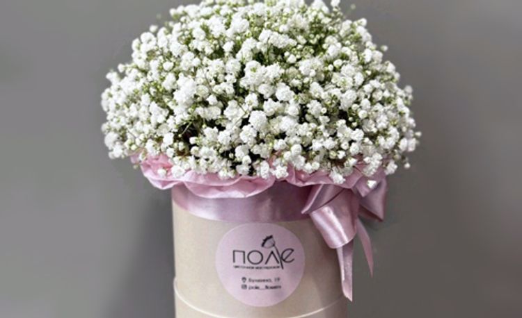 Белая гипсофила в коробке