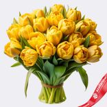 Маленькое фото 1: Букет из 20 желтых пионовидных тюльпанов, Голландия