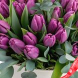 Маленькое фото 5: 45 фиолетовых тюльпанов в белой коробке с эвкалиптом, Россия