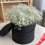 Маленькое фото 1: Букет из 7 белых гипсофил в черной коробке