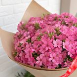 Маленькое фото 2: Букет из 35 розовых флоксов в крафте