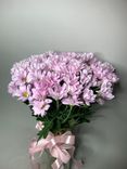 Фото флориста 1: 1 xризантема кустовая розовая, Ромашка, Голландия