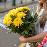 Маленькое фото 1: Букет из 9 кустовых желтых хризантем в пленке, Голландия