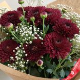 Маленькое фото 3: Букет из 9 кустовых бордовых хризантем с гипсофилой в крафте, Голландия