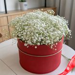 Маленькое фото 1: Букет из 15 гипсофил в красной коробке