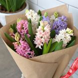 Маленькое фото 1: Букет из 9 гиацинтов в крафте