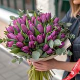 Маленькое фото 1: Букет из 40 сиреневых тюльпанов с эвкалиптом