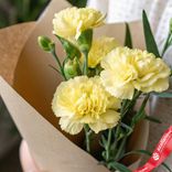 Маленькое фото 2: Букет из 3 желтых кустовых гвоздик в крафте с зеленью. Сорт Диантус, Голландия