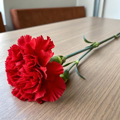 Фото 3: Букет из 100 красных гвоздик