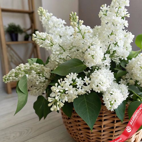 Корзина с белой сиренью S