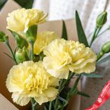 Маленькое фото 3: Букет из 3 желтых кустовых гвоздик в крафте с зеленью. Сорт Диантус, Голландия