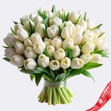 Маленькое фото 1: Букет из 60 пионовидных белых тюльпанов, Голландия