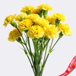 Маленькое фото 1: Букет из 10 гвоздик желтых, Диантус, Голландия