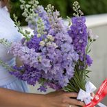 Маленькое фото 2: Букет из 15 сиреневых дельфиниумов с белой лентой