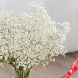 Маленькое фото 3: 5 белых гипсофил, Голландия
