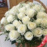 Маленькое фото 2: Букет из 51 белой розы и гипсофилой в корзине, 50 см, Россия
