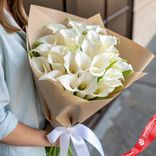 Маленькое фото 1: Букет 29 белых калл в крафте, с белой лентой
