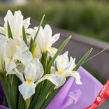 Маленькое фото 3: Букет из 7 белых ирисов в фиолетовой пленке