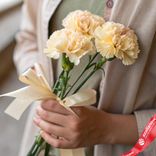 Маленькое фото 1: Букет из 3 бежевых гвоздик с лентой сорта Диантус, Голландия