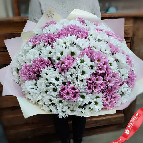Букет из 55 кустовых хризантем