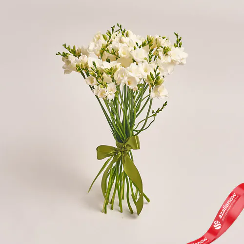 Букет из 25 белых фрезий, Голландия