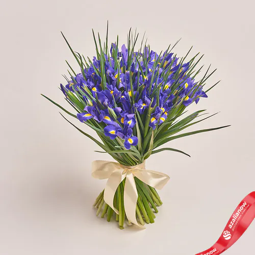 51 фиолетовый ирис