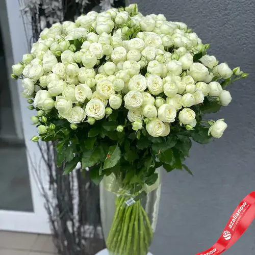 Букет из 25 кустовых пионовидных белых роз