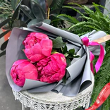 Фото флориста 1: Букет из 3 розовых пионов в темно-серой пленке