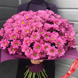 Маленькое фото 1: Букет из 25 розовых кустовых хризантем