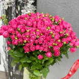 Маленькое фото 2: Букет из 25 кустовых пионовидных розовых роз