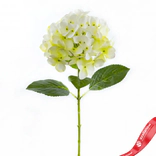 Маленькое фото 1: Гортензия Искусственный 64 см Белый