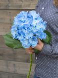 Маленькое фото 1: Гортензия Искусственный 90 см Голубой
