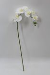 Маленькое фото 1: Орхидея Искусственный 126 см Белый