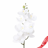Маленькое фото 1: Орхидея Искусственный 85 см Белый