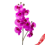 Маленькое фото 1: Орхидея Искусственный 86 см Фуксия
