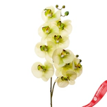 Маленькое фото 1: Орхидея Искусственный 86 см Зеленый