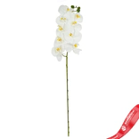 Маленькое фото 1: Орхидея Искусственный 91 см Белый