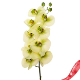 Маленькое фото 1: Орхидея Искусственный 91 см Зеленый