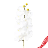 Маленькое фото 1: Орхидея Искусственный 97 см Белый